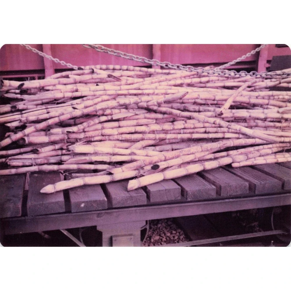 Vintage Hawaii Sugar Cane Mill Processing Lot of 5 Photos - Picture 2 of 5